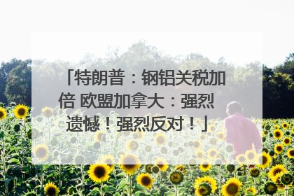 特朗普：钢铝关税加倍 欧盟加拿大：强烈遗憾！强烈反对！