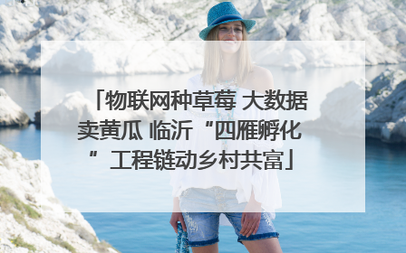 物联网种草莓 大数据卖黄瓜 临沂“四雁孵化”工程链动乡村共富