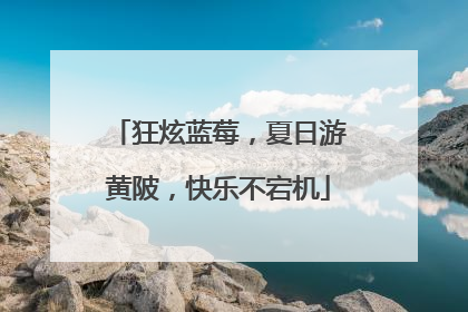 狂炫蓝莓，夏日游黄陂，快乐不宕机