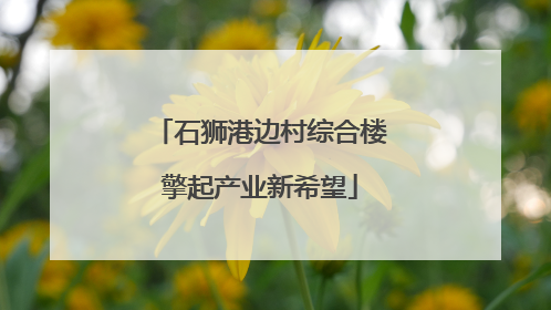 石狮港边村综合楼擎起产业新希望
