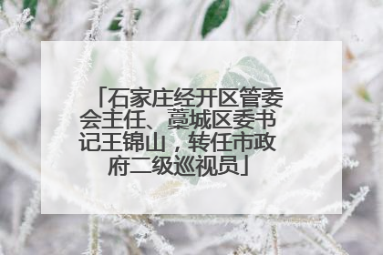 石家庄经开区管委会主任、藁城区委书记王锦山，转任市政府二级巡视员