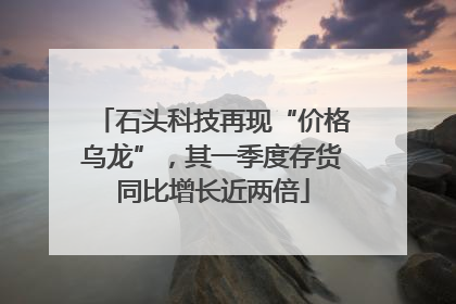 石头科技再现“价格乌龙”，其一季度存货同比增长近两倍