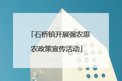 石桥镇开展强农惠农政策宣传活动