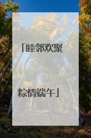 睦邻欢聚 粽情端午