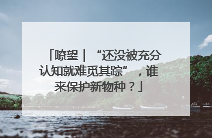 瞭望｜“还没被充分认知就难觅其踪”，谁来保护新物种？