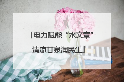 电力赋能“水文章” 清凉甘泉润民生