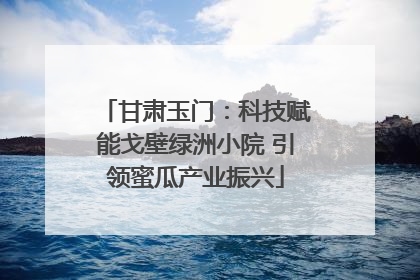 甘肃玉门：科技赋能戈壁绿洲小院 引领蜜瓜产业振兴