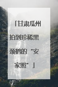 甘肃瓜州拍到珍稀黑颈鹤的“安家照”
