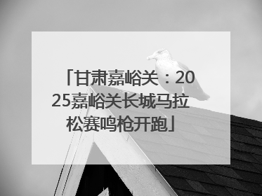 甘肃嘉峪关：2025嘉峪关长城马拉松赛鸣枪开跑