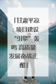 甘肃平凉：项目建设“引擎”轰鸣 高质量发展奋战正酣