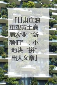 甘肃庄浪重塑黄土高原农业“新颜值”：小地块“拼”出大文章