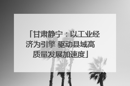 甘肃静宁：以工业经济为引擎 驱动县域高质量发展加速度