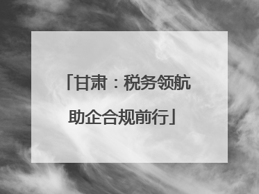 甘肃：税务领航 助企合规前行