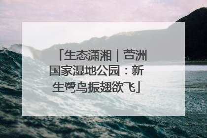 生态潇湘｜萱洲国家湿地公园：新生鹭鸟振翅欲飞