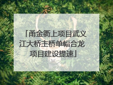 甬金衢上项目武义江大桥主桥单幅合龙 项目建设提速