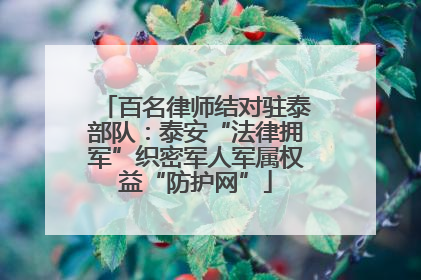 百名律师结对驻泰部队：泰安“法律拥军”织密军人军属权益“防护网”