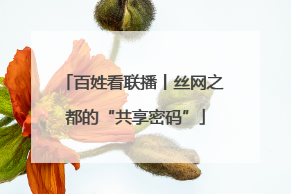 百姓看联播丨丝网之都的“共享密码”