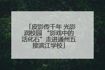 皮影传千年 光影润校园 “影戏中的活化石”走进通州五接滨江学校