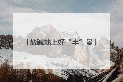 盐碱地上好“丰”景