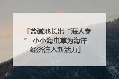 盐碱地长出“海人参” 小小海虫草为海洋经济注入新活力