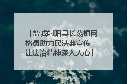 盐城射阳县长荡镇网格员助力民法典宣传 让法治精神深入人心