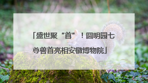 盛世聚“首”！圆明园七尊兽首亮相安徽博物院