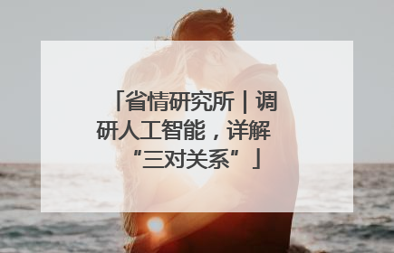 省情研究所｜调研人工智能，详解“三对关系”