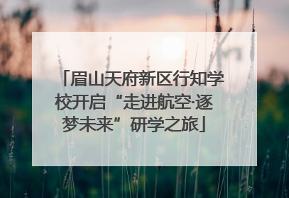 眉山天府新区行知学校开启“走进航空·逐梦未来”研学之旅