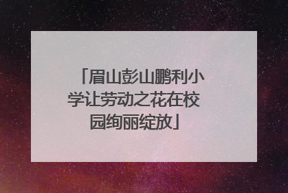 眉山彭山鹏利小学让劳动之花在校园绚丽绽放