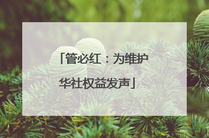 管必红：为维护华社权益发声