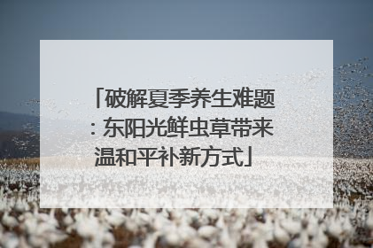 破解夏季养生难题：东阳光鲜虫草带来温和平补新方式