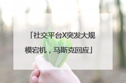 社交平台X突发大规模宕机，马斯克回应