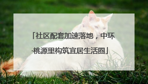 社区配套加速落地，中环·桃源里构筑宜居生活圈