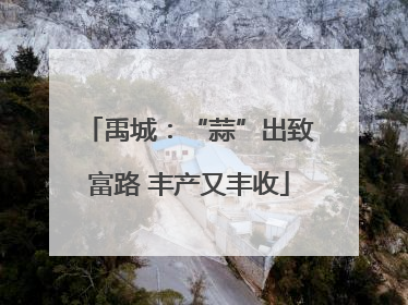 禹城：“蒜”出致富路 丰产又丰收