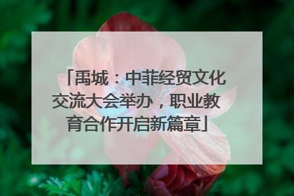 禹城：中菲经贸文化交流大会举办，职业教育合作开启新篇章