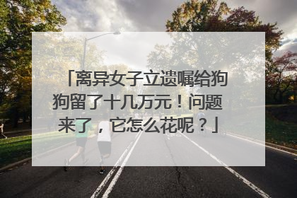 离异女子立遗嘱给狗狗留了十几万元！问题来了，它怎么花呢？