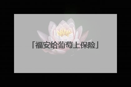 福安给葡萄上保险