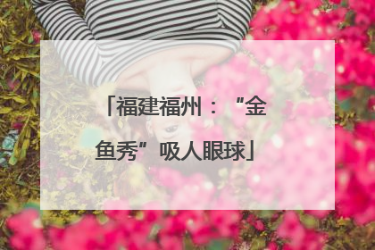 福建福州：“金鱼秀”吸人眼球