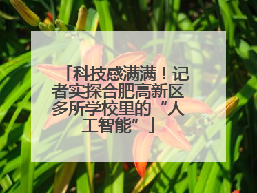科技感满满！记者实探合肥高新区多所学校里的“人工智能”