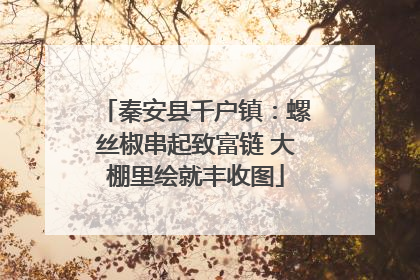 秦安县千户镇：螺丝椒串起致富链 大棚里绘就丰收图