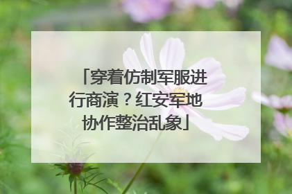 穿着仿制军服进行商演？红安军地协作整治乱象