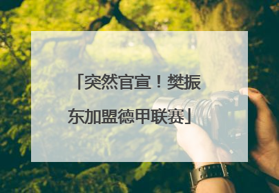突然官宣！樊振东加盟德甲联赛