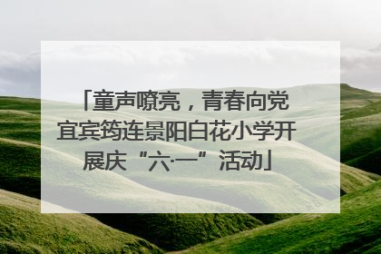 童声嘹亮，青春向党 宜宾筠连景阳白花小学开展庆“六·一”活动