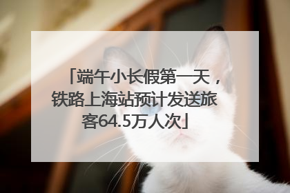 端午小长假第一天，铁路上海站预计发送旅客64.5万人次