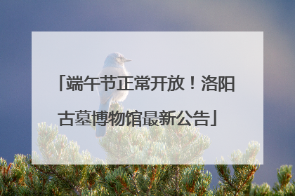 端午节正常开放！洛阳古墓博物馆最新公告
