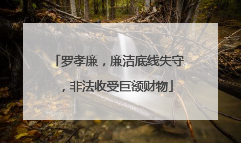罗孝廉，廉洁底线失守，非法收受巨额财物