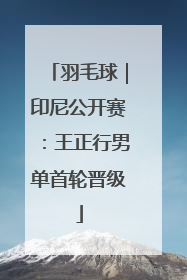 羽毛球｜印尼公开赛：王正行男单首轮晋级