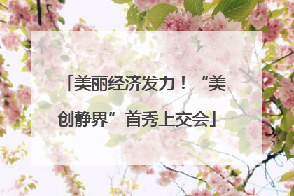 美丽经济发力！“美创静界”首秀上交会