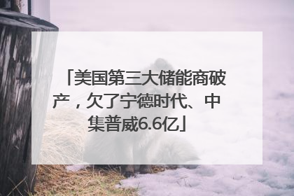 美国第三大储能商破产，欠了宁德时代、中集普威6.6亿