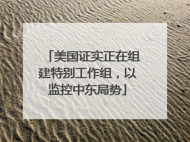 美国证实正在组建特别工作组，以监控中东局势